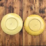 Set of 2 round dishes in Sarreguemines slurry