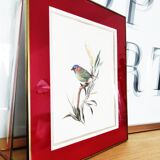 Frame