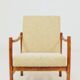 Mid-century modern design armchair green nebula bentwood 1960