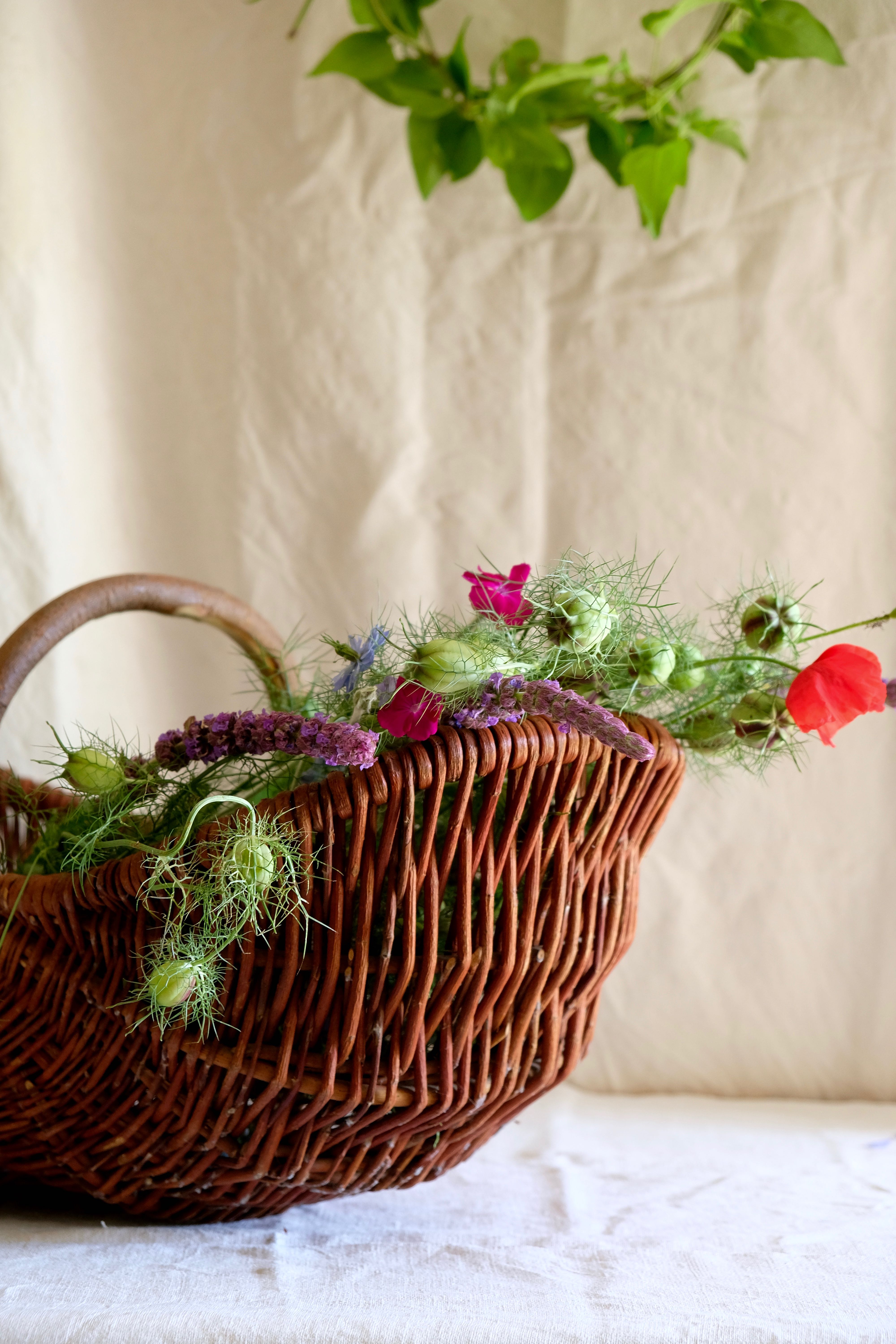 Large old basket in real chestnut