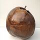 Empty vintage pocket - natural coconut