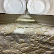 6 Deep Plates Porcelain Limoges France