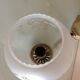 Pair of wall lamps in gilded metal and frosted glass art deco style