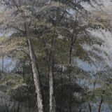 Landscape oil table 50x40cm