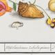 Small poster on "insects and flowers", after an old engraving by