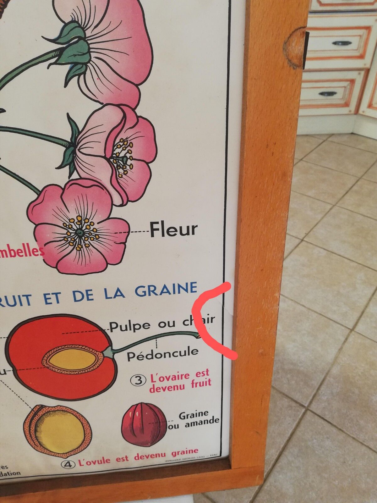 Old MDI school poster