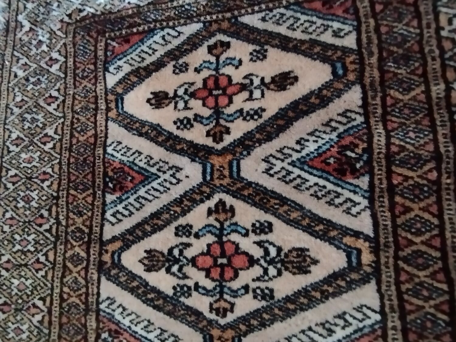 Handmade wool Pakistan rug