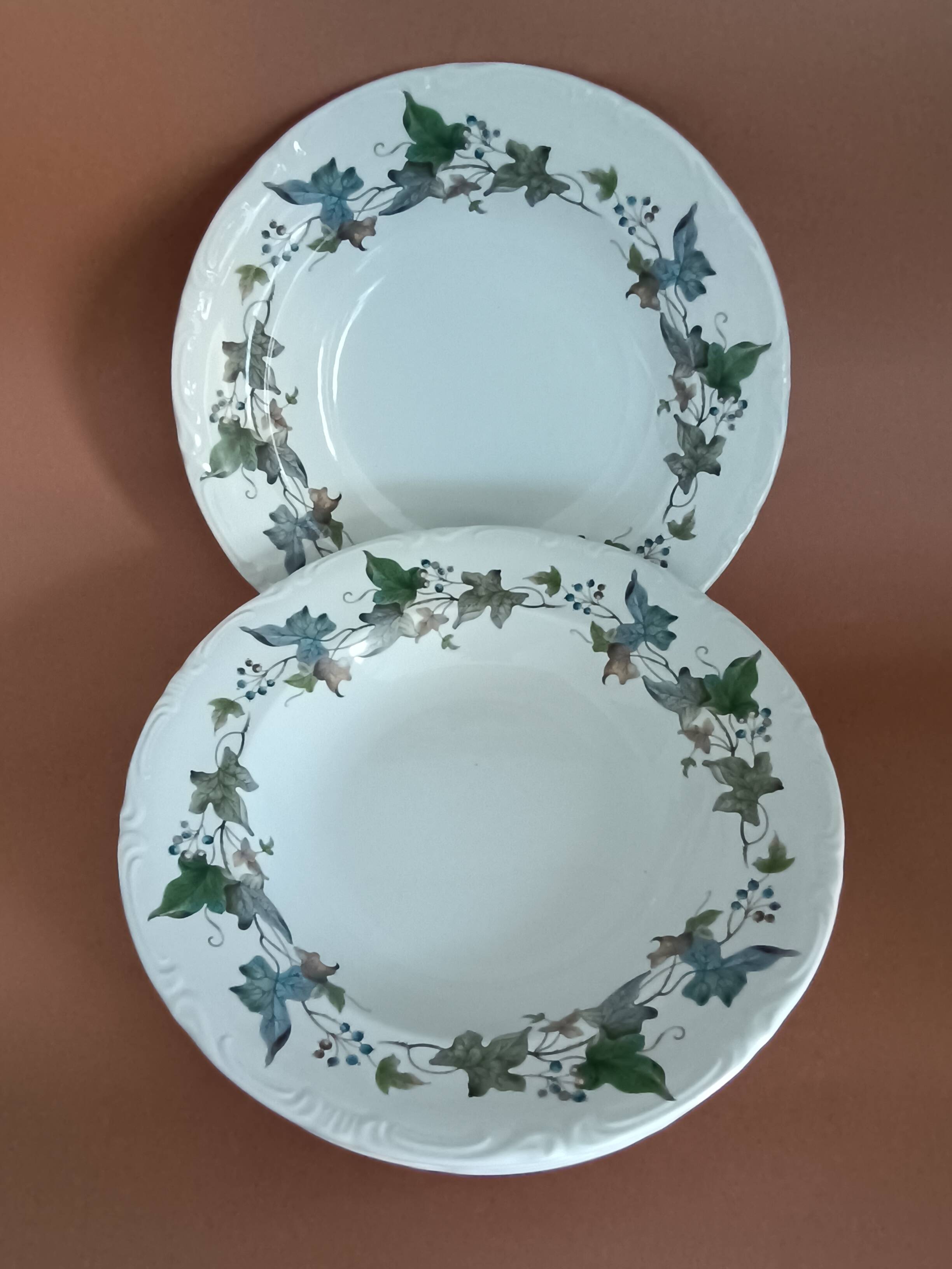 Royal China Vigo porcelain soup plates