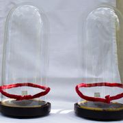 Ensemble 2 globes cloches en verre