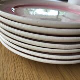 7 assiettes à dessert craquelées rose dégradé