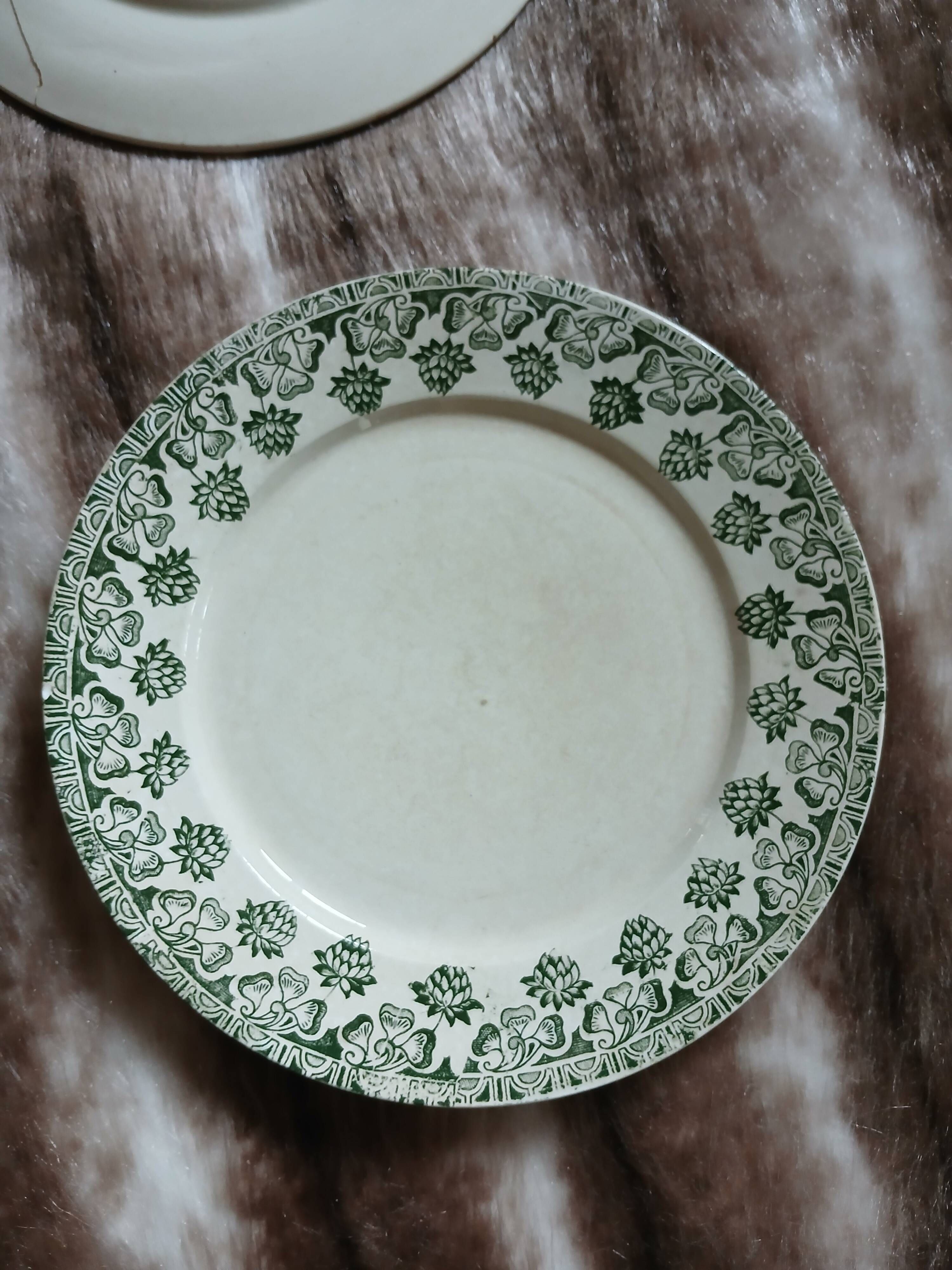 10 antique flat plates in ironstone