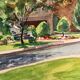 Vintage Watercolor