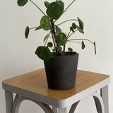 Old stool