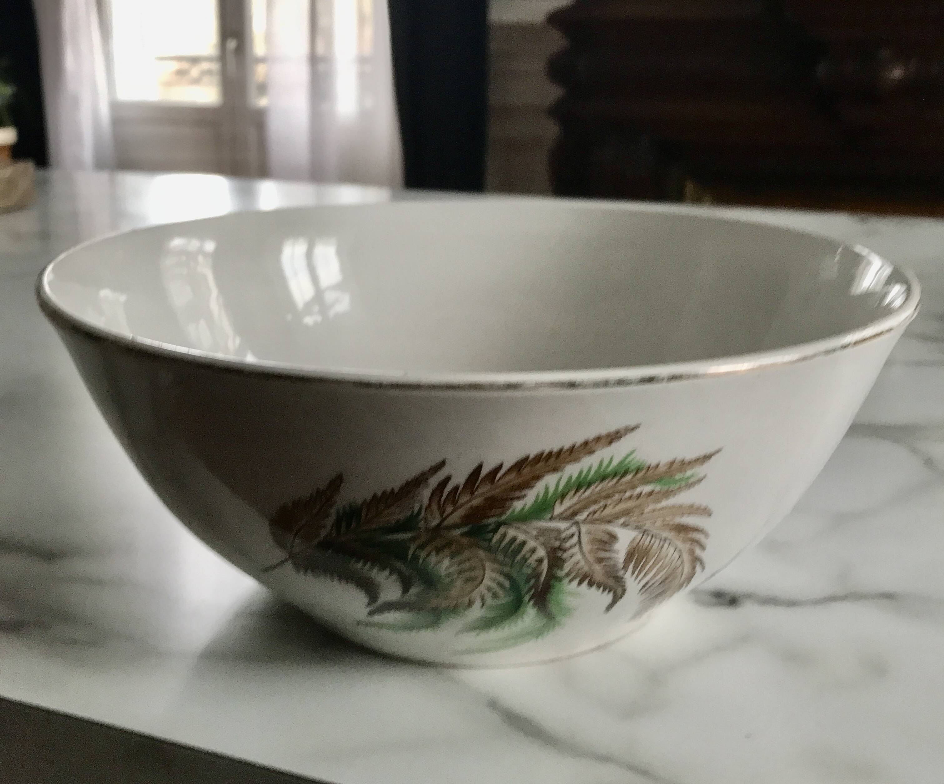 Vintage Digoin Sarreguemines fern salad bowl