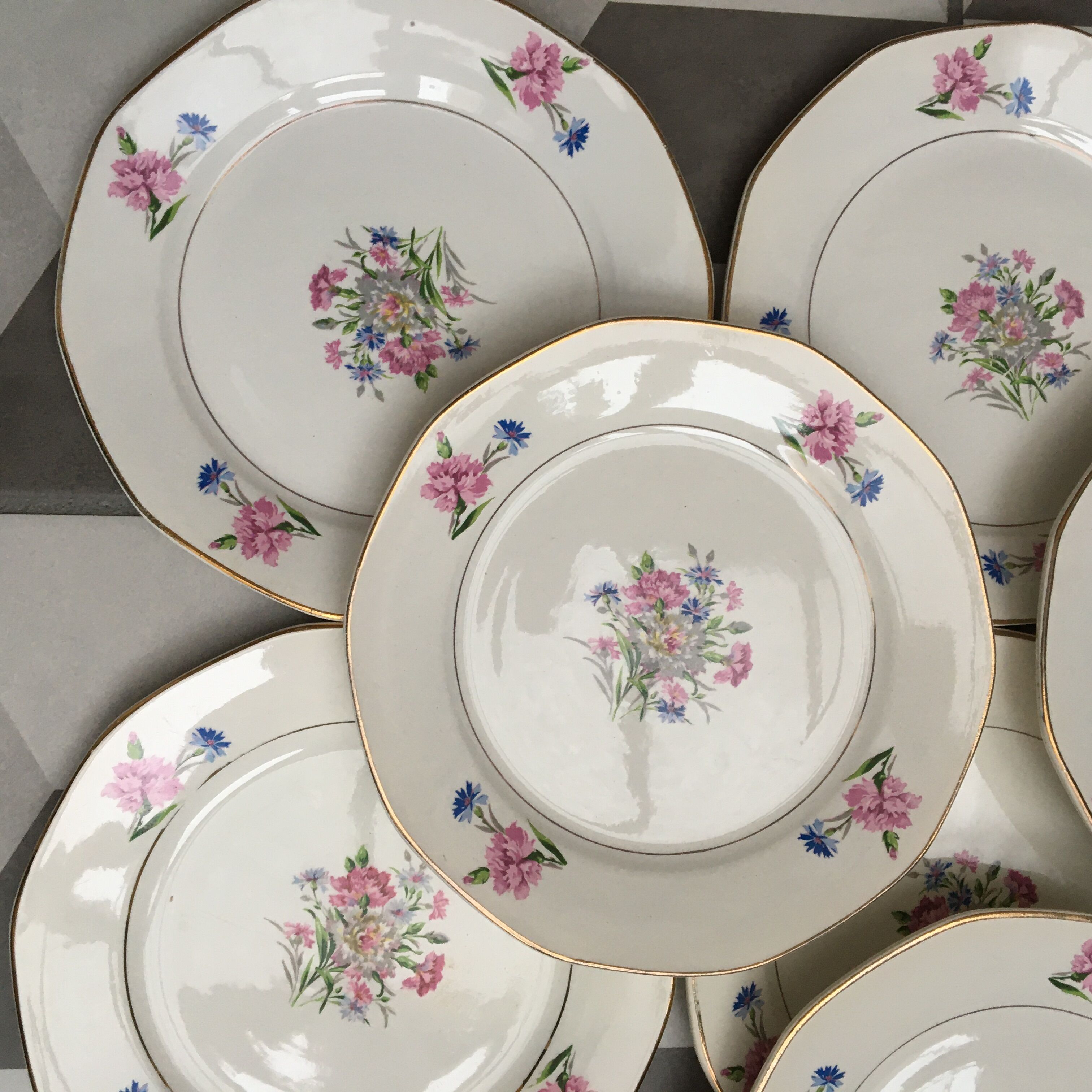 Set of 12 dessert plates carnations digoin sarreguemines
