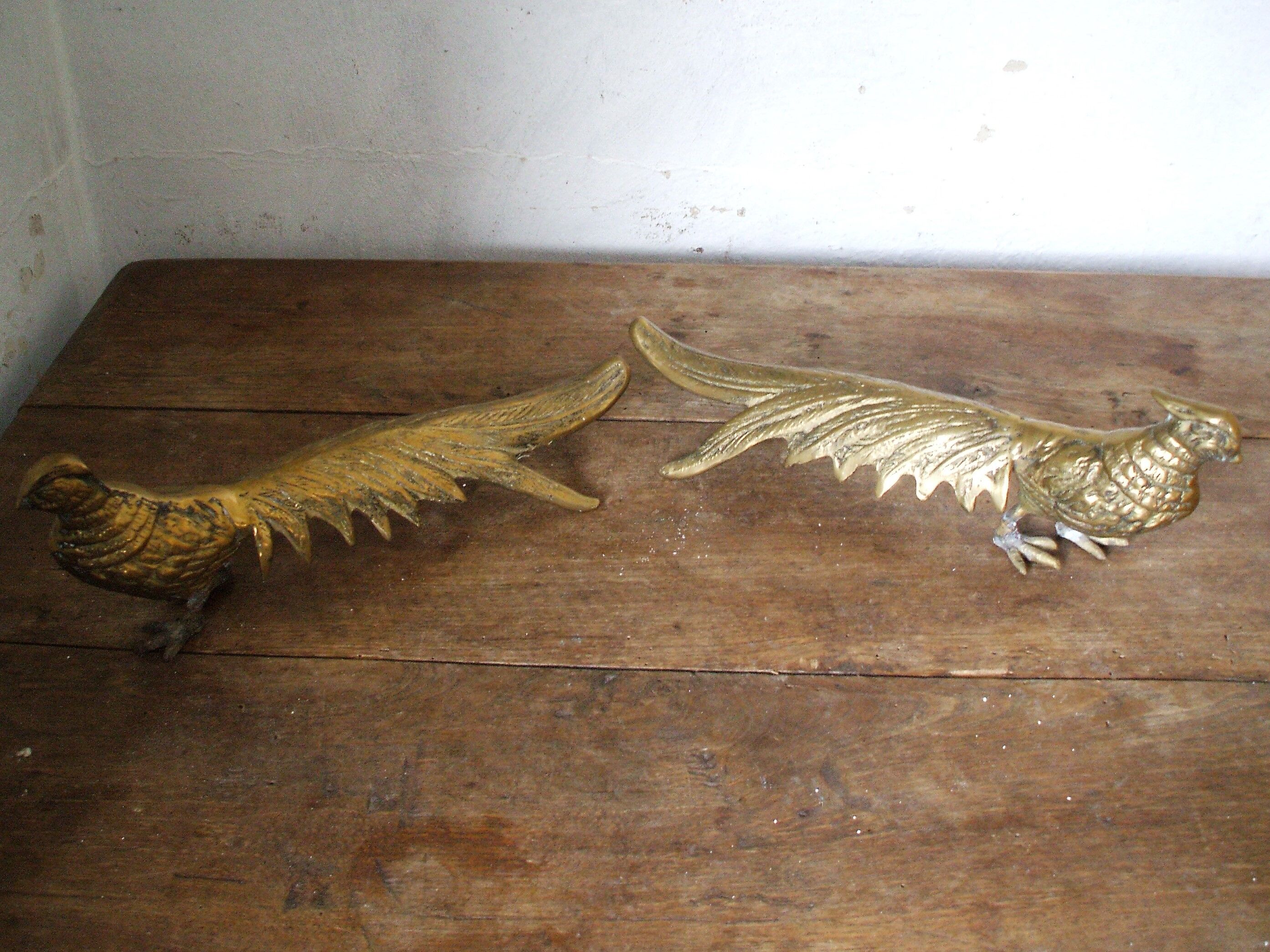 Brass pheasant couple