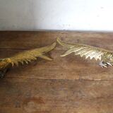Brass pheasant couple