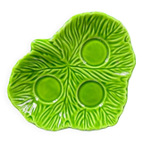 Empty green leaf pocket