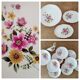 Set of 8 vintage Gien earthenware plates from the 70s with a floral pattern.
