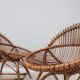 Mid century rattan shell-shaped chairs 1950s