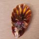 Vallauris pocket empty