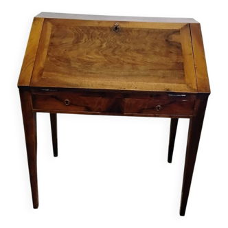 Sloping desk / speed bump / antique secretary