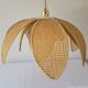 Rattan palm suspension and canning