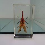 Lot 4 insects inclusion resins to identify vintage