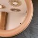 Round Beige and Coral Plastic Wall Mirror from the 70s-80s