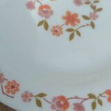 10 vintage Scania dessert plates