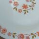10 vintage Scania dessert plates