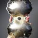 Double old metal gilded shell server vintage 50-70