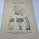 Gravure botanique papillons double face planche naturaliste Eau forte