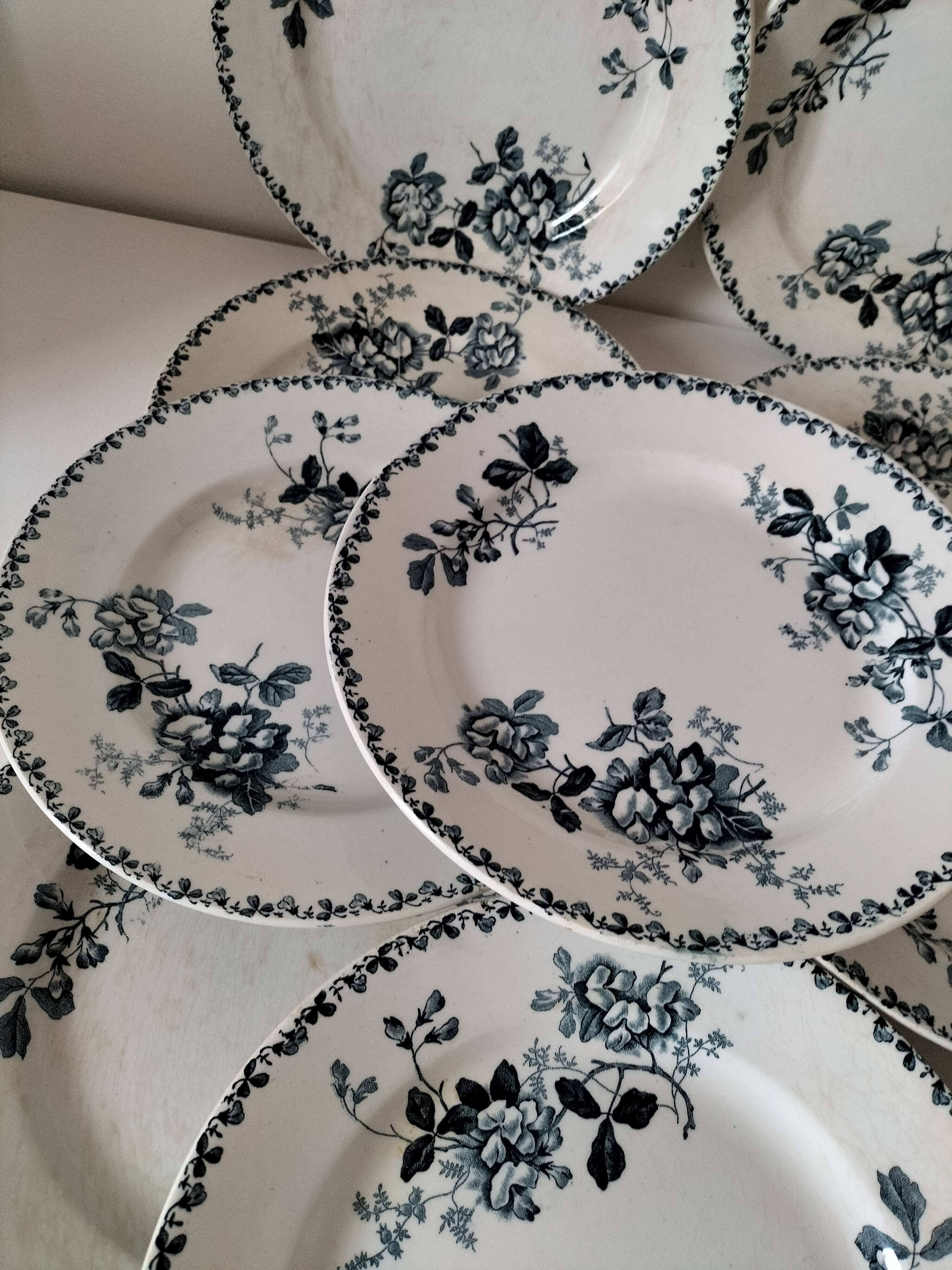 Set of 10 ironstone plates Moulin des Loups Acacia