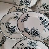 Set of 10 ironstone plates Moulin des Loups Acacia