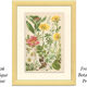 Botanical plate 1906: Sorbus, rosa alpina, geum, alchimilla, mountain benedict
