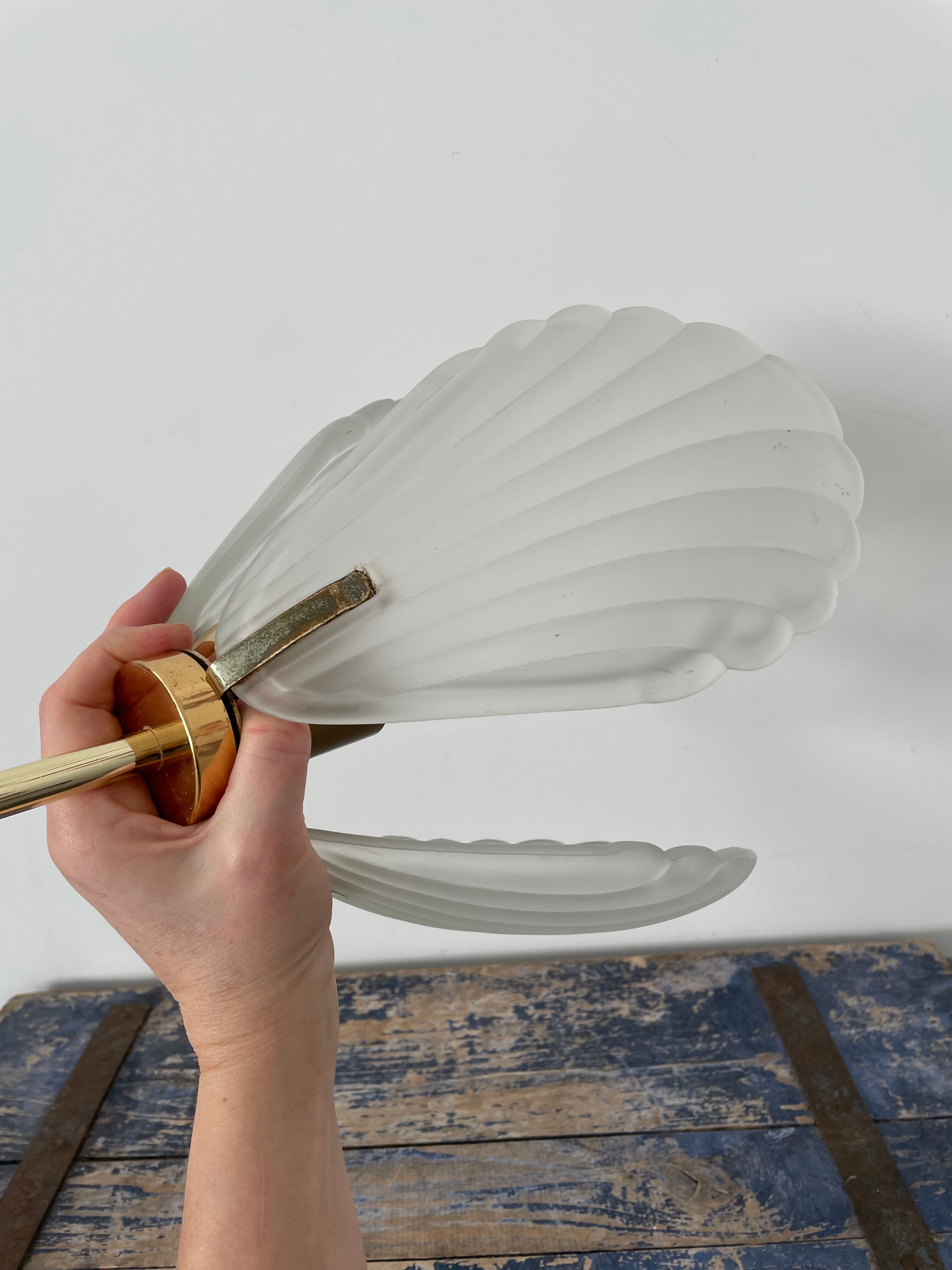 Shell suspension or shell in new electrified glass paste