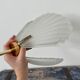 Shell suspension or shell in new electrified glass paste