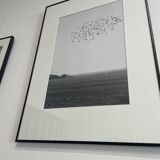 The Flight - Marseille