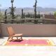 Handmade Azilal rug, 255 x 150 cm, AZ824