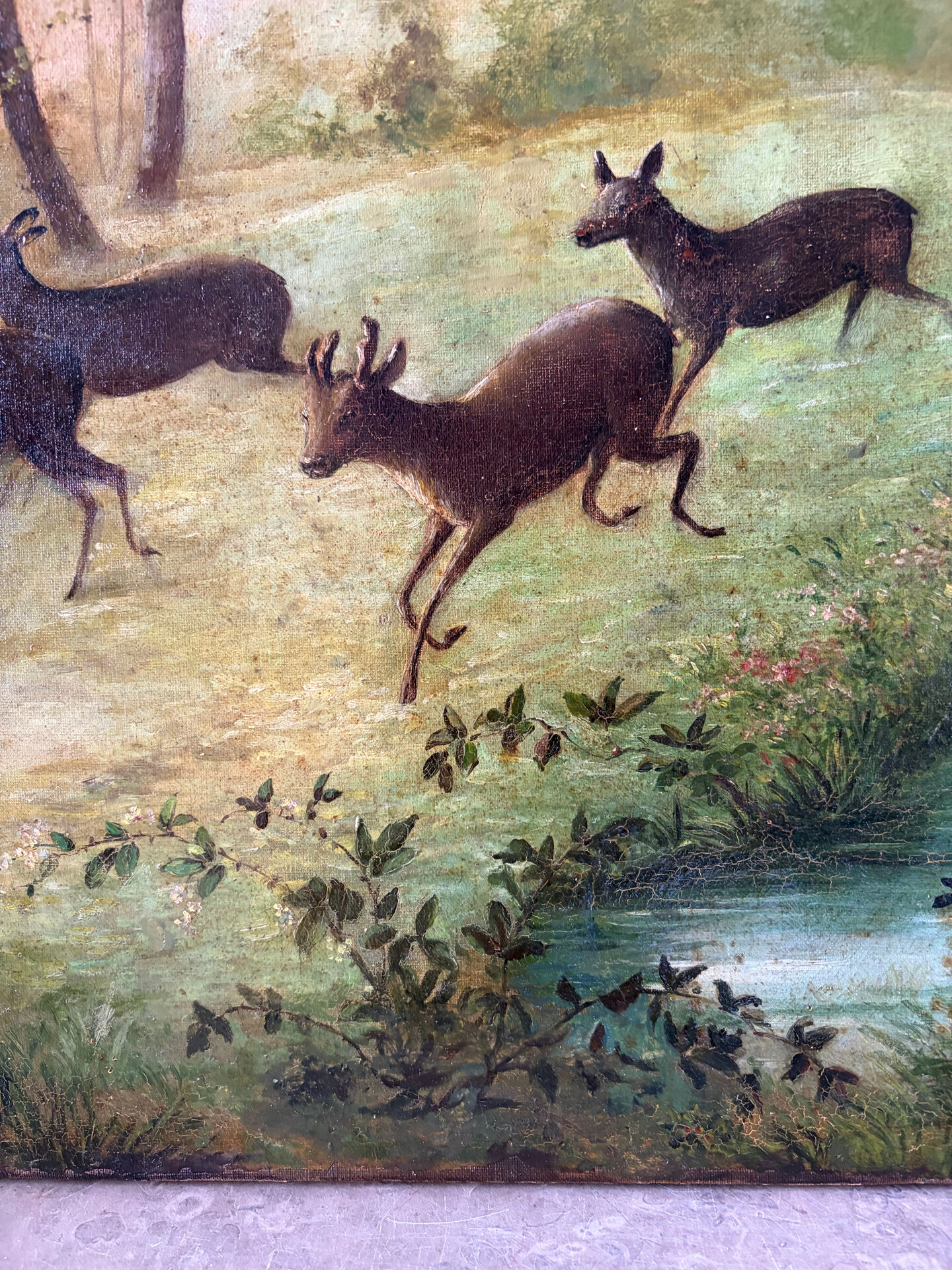 Clearing with five deer, oil on canvas signed F Hari Fourchon