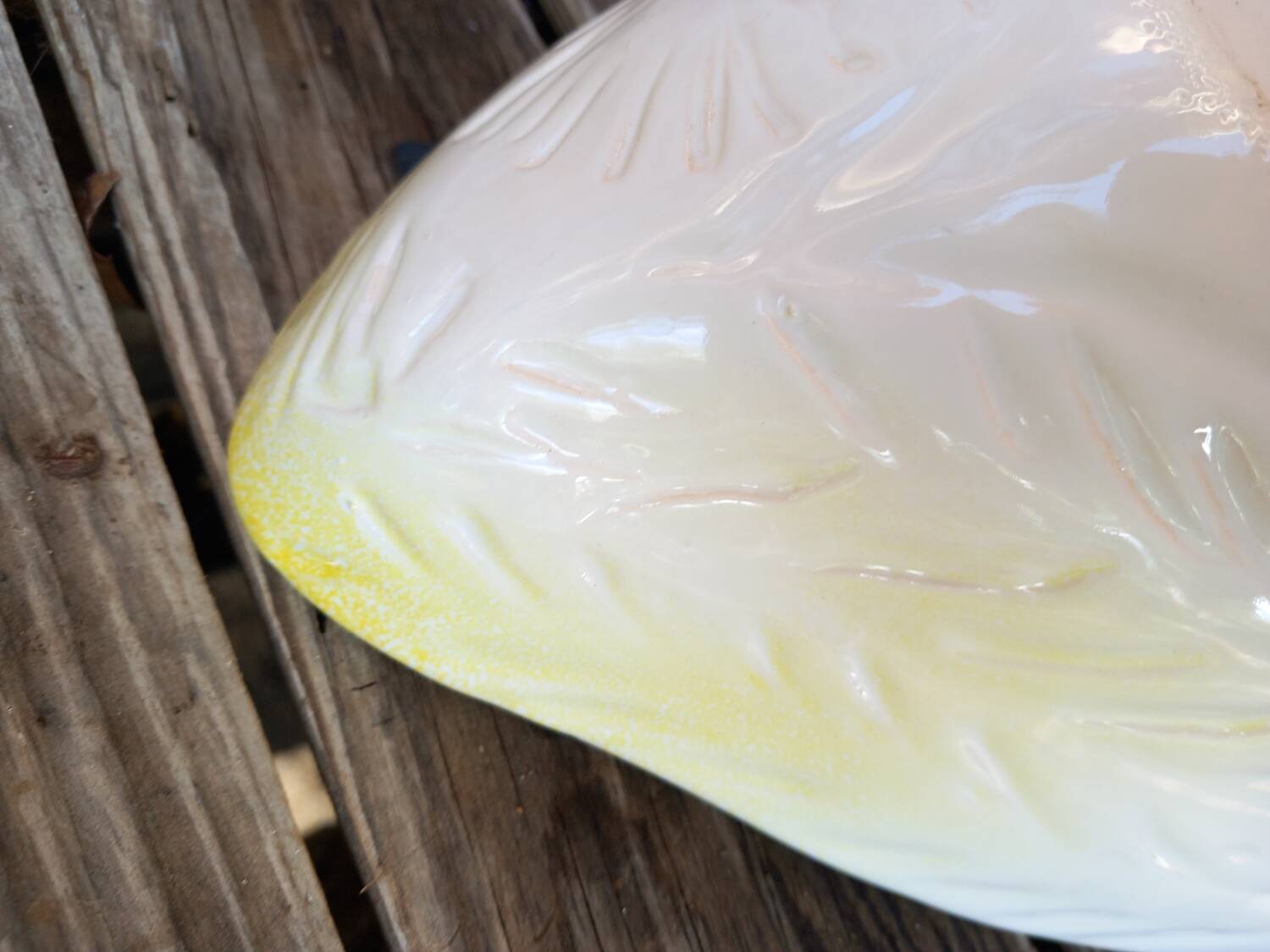 Earthenware dish with endive patterns
