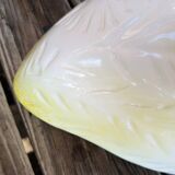 Earthenware dish with endive patterns