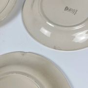 Set of 5 dessert plates Longwy, early 20th century, floral decoration.