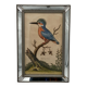 Antique engraving of bird naturalist, by Georges Edwards.