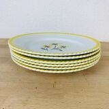 Set of 6 flat plates vintage earthenware