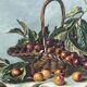 Old painting oil on canvas signed Lucienne 1944