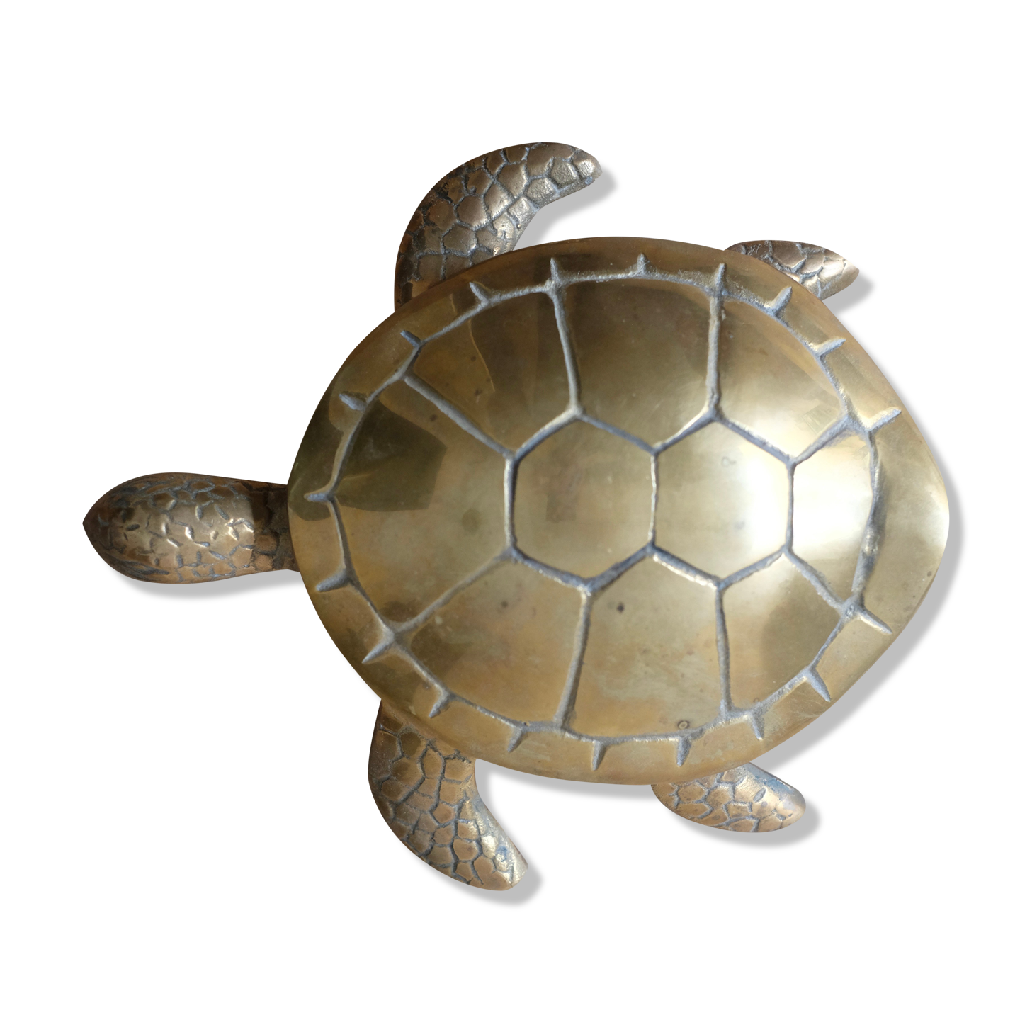 Empty brass turtle pocket