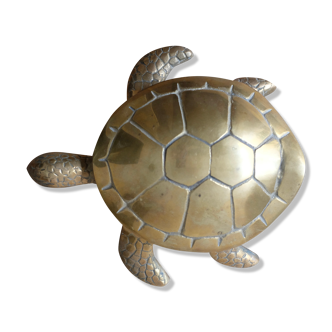 Empty brass turtle pocket