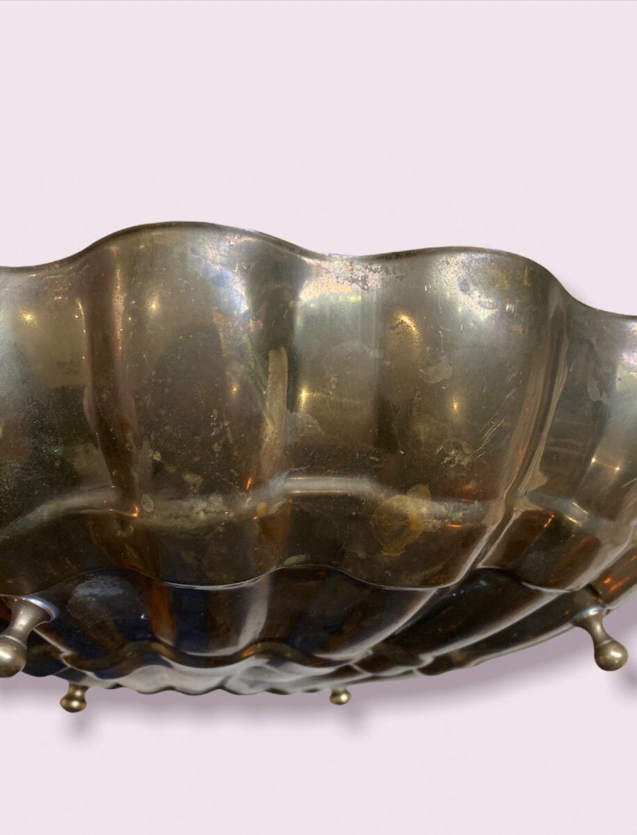 Golden Shell Brass Cup